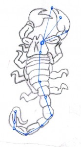 Sternbild Skorpion